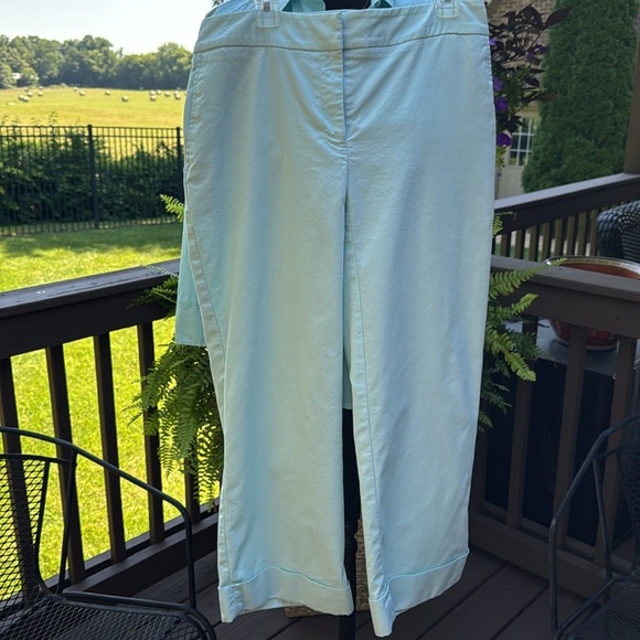 LN -Talbots top (6) & cropped pant (2) in robin egg blue/mint set -so slim! - Picture 3 of 13